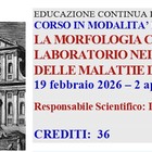 LA MORFOLOGIA CELLULARE E IL LABORATORIO NEI PERCORSI DIAGNOSTICI DELLE MALATTIE DEL SANGUE